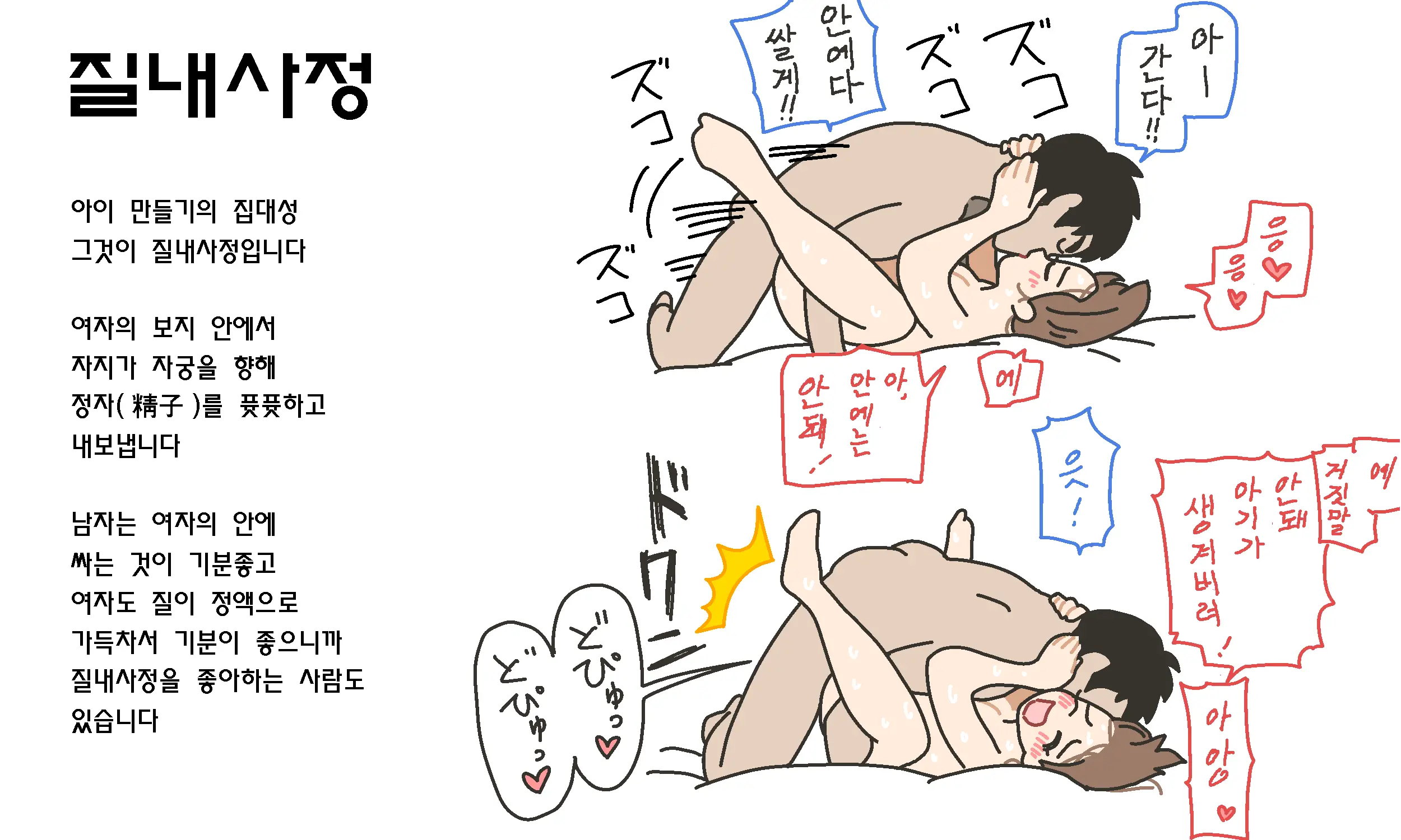 Watashitachi No Karada ~Kodomo Ga Dekirushikumi~ | 남자와 여자의 몸구조 ~아기가 생기는 구조~